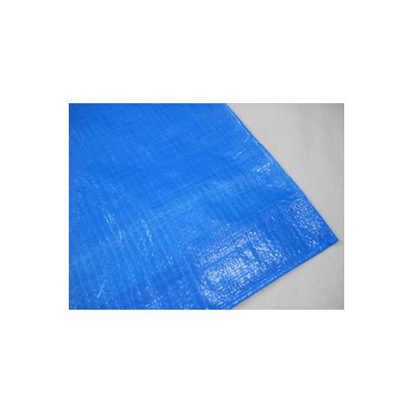 A@#3000@u[V[g@10mX10m@PP[X@2