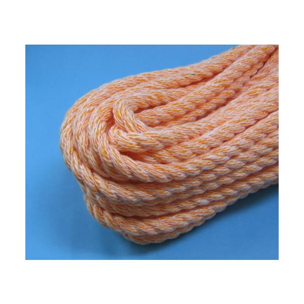 ���L�������[�v�@3mmX200m���@��1.1kg