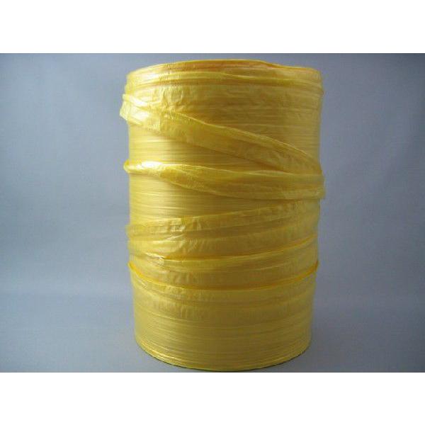 �M�z�H�Ɓ@SK�n�C�X�g���C�v�@���������@�R�@F-28�@2kg���@1�� 12�����@���F�E�C�G���[