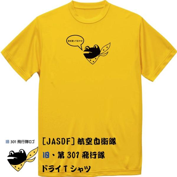 JASDF]航空自衛隊 第301飛行隊(旧デザインver8)(百里基地) ドライT