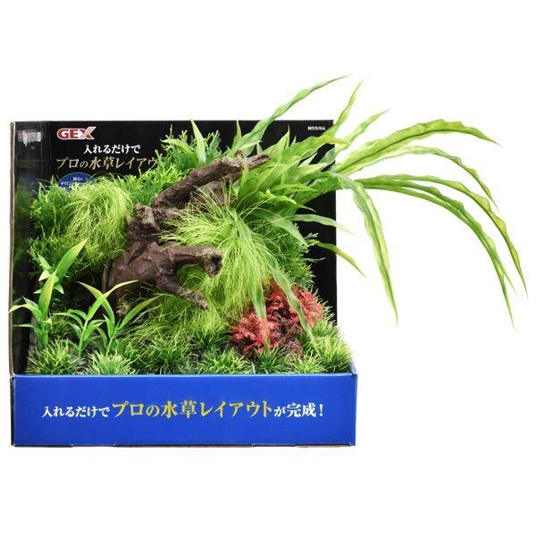 包装無料 送料無料 まとめ 癒し水景 アクアキャンバス F L Big 2セット 入れるだけでプロの水草レイアウトが完成 取寄品 Institutoedinheiromarica Org