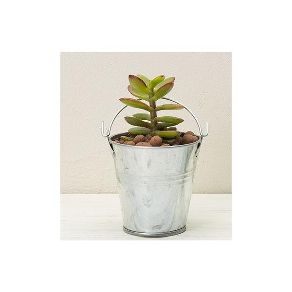 原産地：中国原材料：ブリキサイズ：約Ｗ5.5×Ｄ５×Ｈ8.5ｃｍ穴なし　２個セットの価格になります。※画像のお花や植物は付属されておりません。