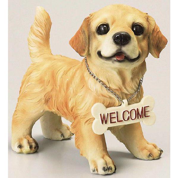 S2004@EFJ{[h@hbN@S[fgo[@@@/hbN/킢/u/I[ig/S[f/go[