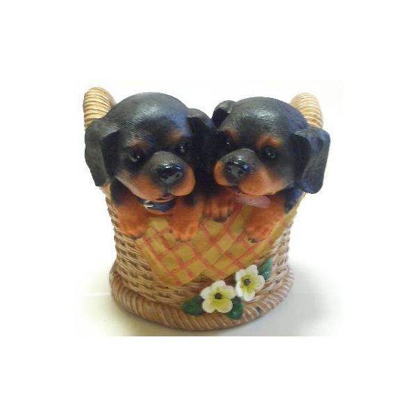 r604@@hbNv^[@_bNX@@@@/hbN/u/I[ig/v^[/A/񂹐A/K[fjOG/_bNXth