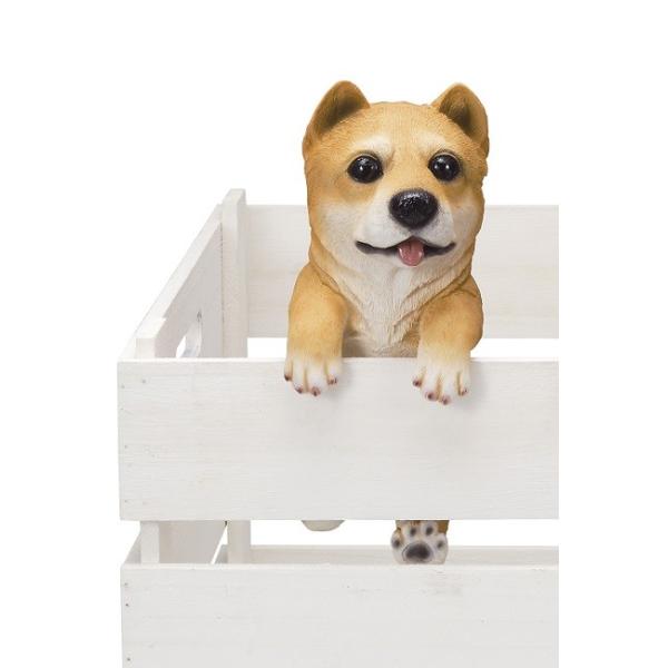 6142@hbNnMO@Č@@@ČG/uČ/ČObY