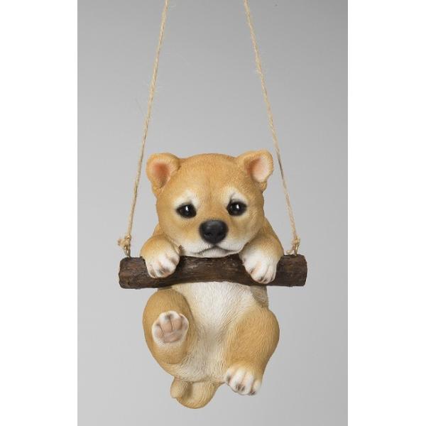 6427@uRhbN@ā@@@ČG/uČ/ČObY/̓Mtg/̓