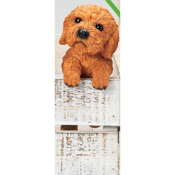 7280@nMOhbN@~j@gCv[h@@gCv[hG/ugCv[h/gCv[hObY