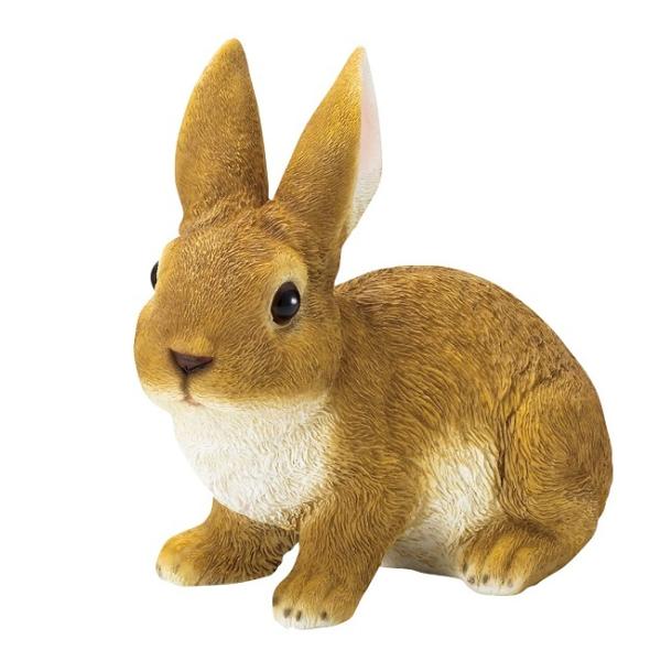 r8182@X̂@@@@@/rbg/u/I[ig/IuWF/K[fjOG/Jg[//Aj}