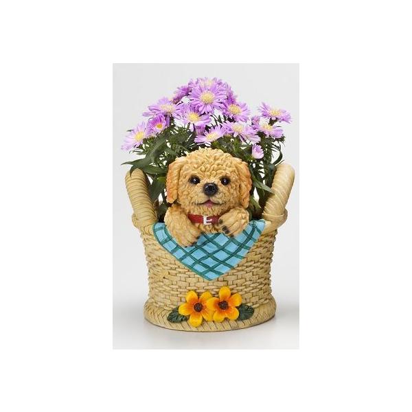 ｓ9250 ドックプランター トイプードル トイプードルプランター 鉢植え 寄せ植え トイプードル雑貨 トイプードル置物 Buyee Buyee 日本の通販商品 オークションの代理入札 代理購入