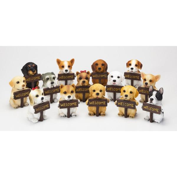 S9272 ウェルカムボード ドック トイプードル 犬 ドック かわいい トイプードル置物 トイプードルグッズ トイプードル雑貨 Buyee Buyee 日本の通販商品 オークションの代理入札 代理購入