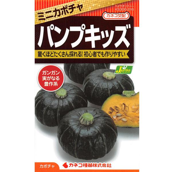 ミニかぼちゃ パンプキッズ 野菜タネ *