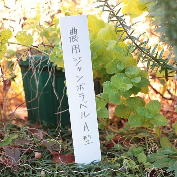 農用ジャンボラベルA型 幅5cm×30cm（白） 5枚セット : 園芸ネット