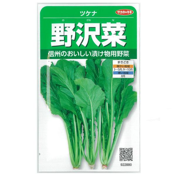 ツケナ 野沢菜（のざわな） サカタ 野菜タネ : 園芸ネット - 通販