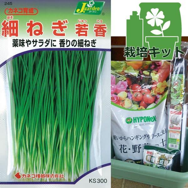 栽培セット 緑のやさいプランター40型 虫よけネット付き 細ねぎ 若香 じゃっこう 園芸ネット 通販 Yahoo ショッピング