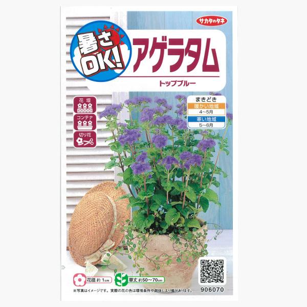 アゲラタム トップブルーの種 サカタ 花タネ 春まき 園芸ネット 通販 Yahoo ショッピング