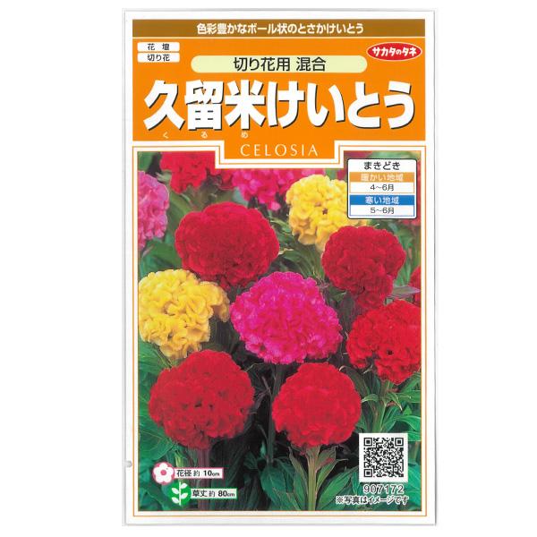 有効期限22年10月 けいとう 久留米けいとう 切り花用 混合 サカタ 花タネ 園芸ネット 通販 Yahoo ショッピング