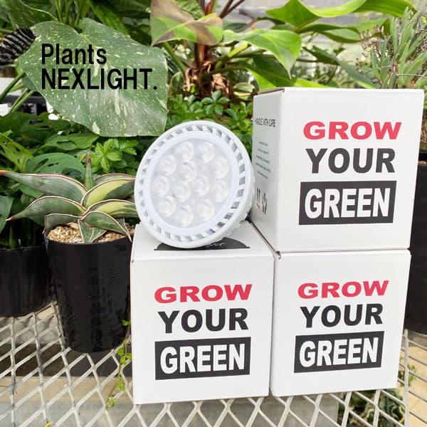 育成ライト　PlantsNEXLIGHT PLANTS NEXLIGHT 正規取扱店 ホワイト ブラック プランツ ネクス