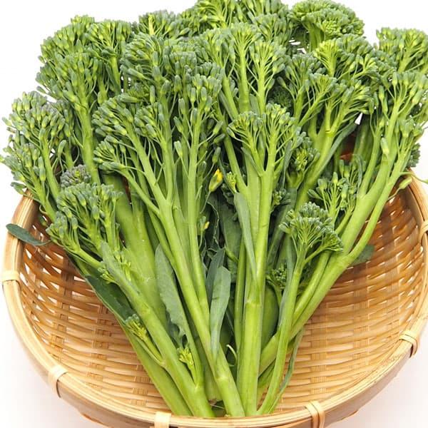 やわらかでおいしい茎ブロッコリーです。茎の部分までやわらかくて甘く、おいしく食べられます。もちろん花も甘くておいしい品種。花蕾が次々に立ち上がり、長期間収穫できます。ボイルしてサラダなどにご利用ください。※詳しい商品説明は下のほうに記載があります