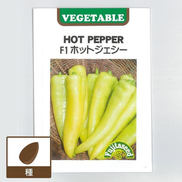 トウガラシ（唐辛子） F1ホットジェジー 野菜タネ