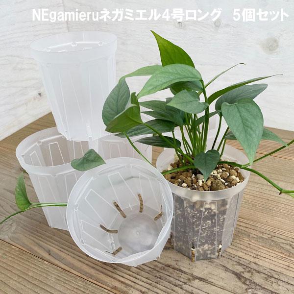 スリット鉢（透明） ネガミエル4号ロング5個セット : 園芸ネット