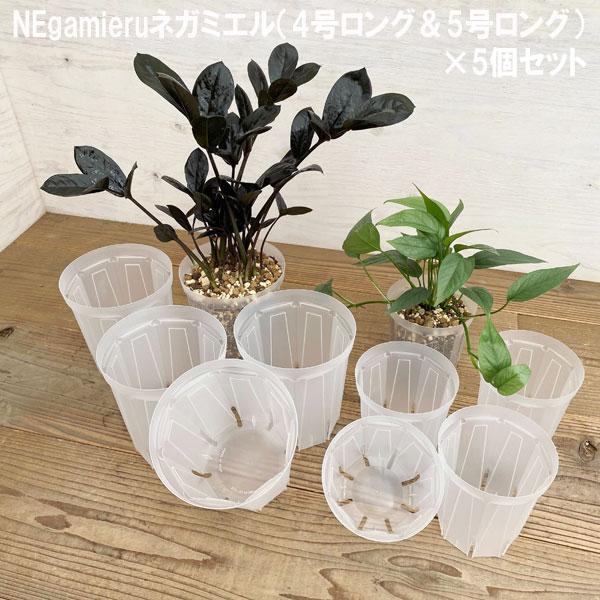 はまなし Silver Line Japan / ノンスリップ