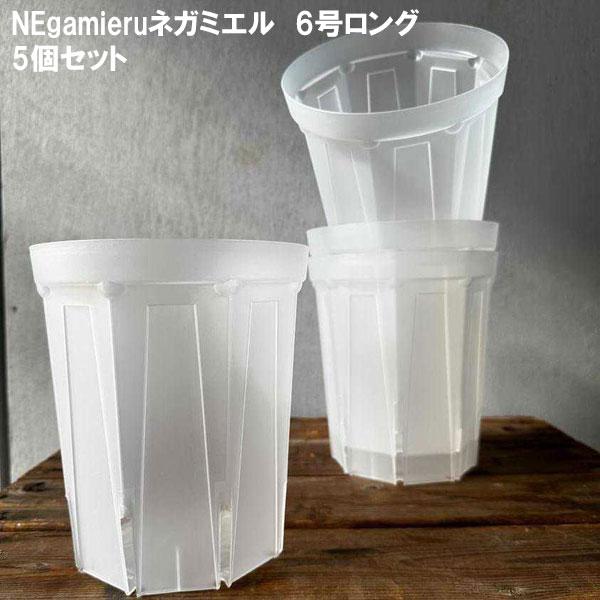スリット鉢（透明） ネガミエル 6号ロング 5個セット