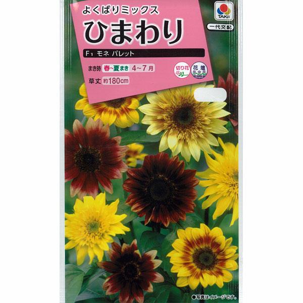ヒマワリ F1モネパレット タキイ 花タネ