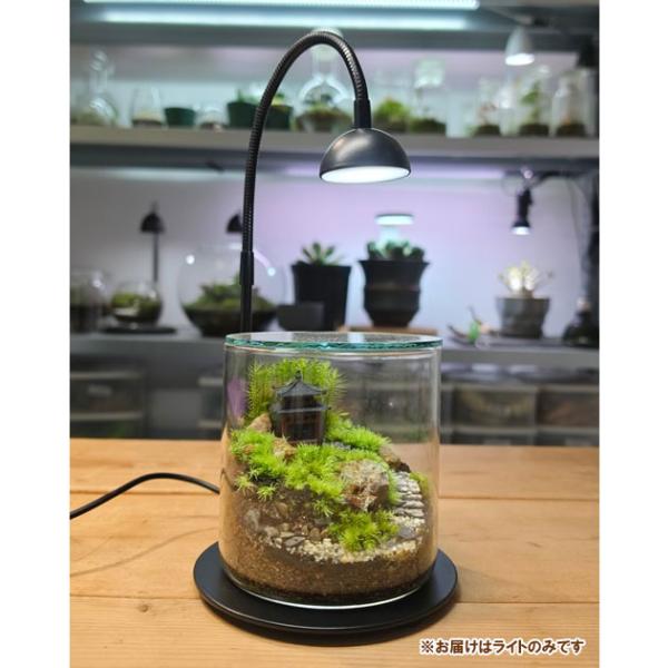 テラリウム専用育成ライト GROW 01（グロウ01ブラック）