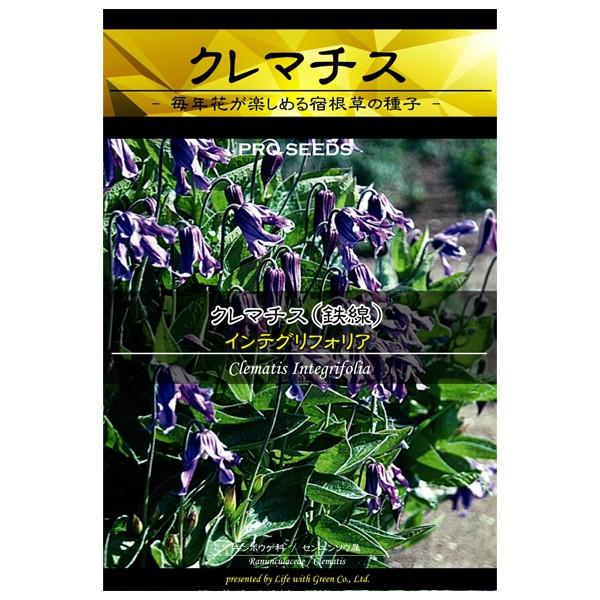 クレマチス インテグリフォリア 花タネ 園芸ネット 通販 Yahoo ショッピング