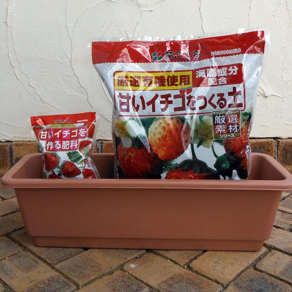 いちご用 ホームプランター65TRと土と肥料のセット