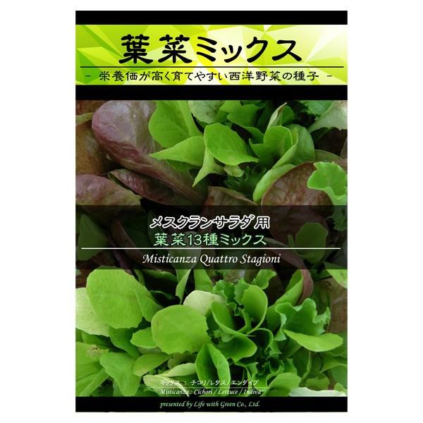 レタスミックス メスクランサラダ用 葉菜13種ミックス 野菜タネ 園芸ネット 通販 Yahoo ショッピング