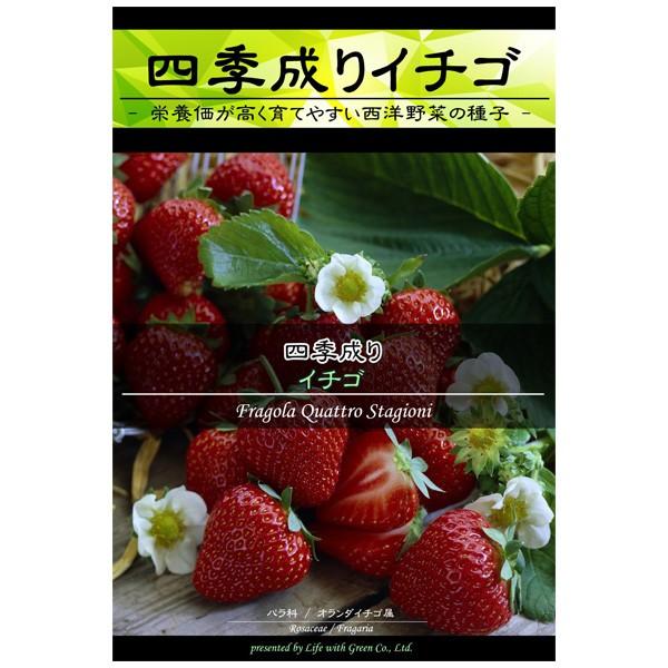 イチゴ 四季成りイチゴ 野菜タネ 園芸ネット 通販 Yahoo ショッピング