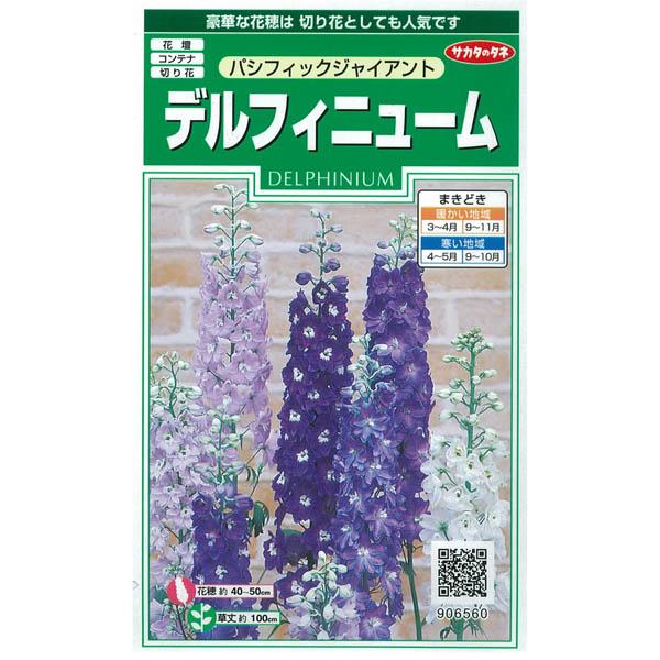 タネ 小袋 豪華な花穂 花壇 切花に 春 秋まき ギガランキングｊｐ