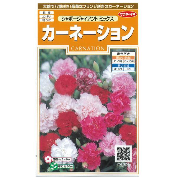 カーネーション シャポージャイアントミックスの種 花タネ 864 園芸ネット 通販 Yahoo ショッピング