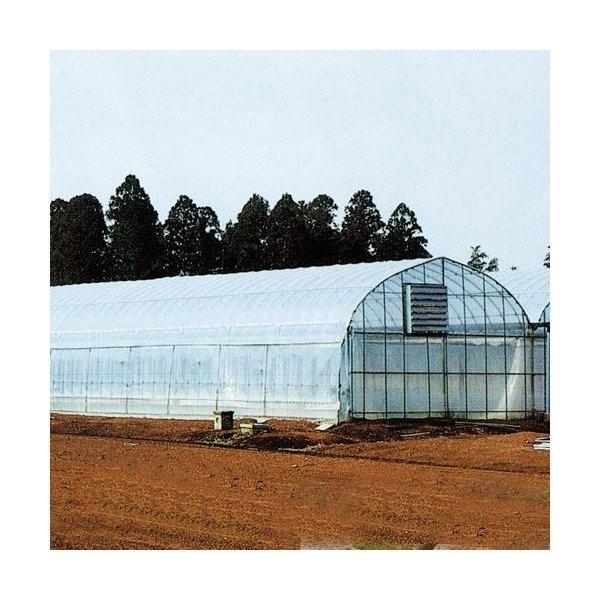 ビニールハウス用PO タフサイド 長さ100m×厚さ0.1mm×幅135cm : 園芸