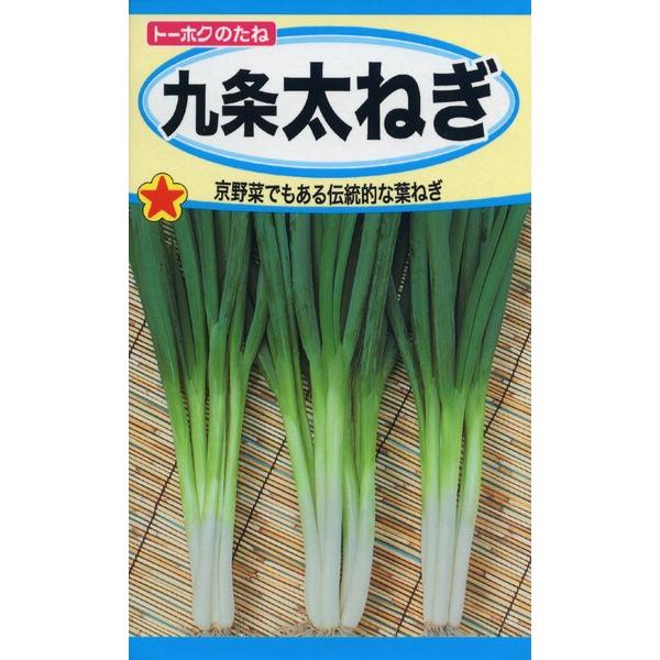 ネギの種 九条太ねぎ 7ml 品番2211 種子 たね : 園芸商人 - 通販