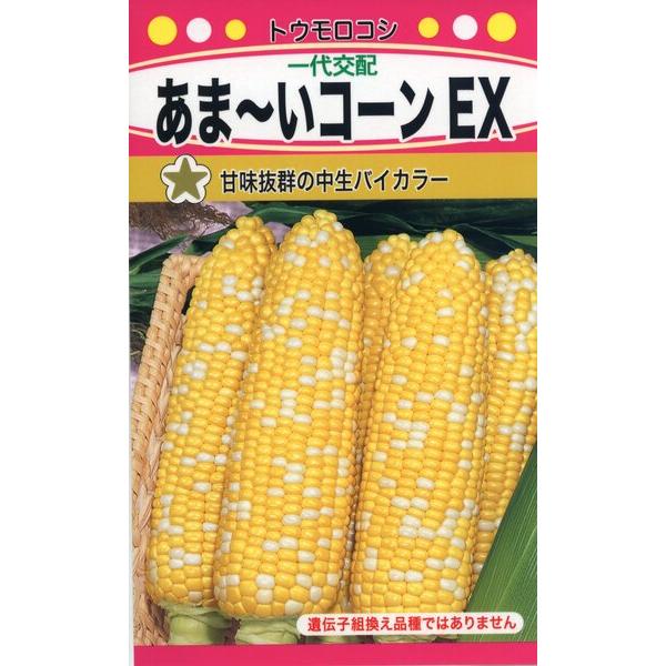 トウモロコシの種　甘味抜群の中生タイプ　非常に甘いトウモロコシで粒皮のやわらかいおいしい品種　生産地：アメリカ　発芽率：75%以上　内容量：22ml