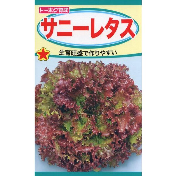 レタスの種 サニーレタス 3ml 品番3479 種子 たね : 園芸商人