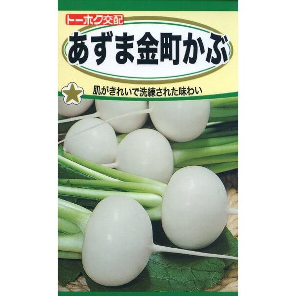 カブの種 F1 あずま金町かぶ 4ml 品番3586 種子 たね : 園芸商人
