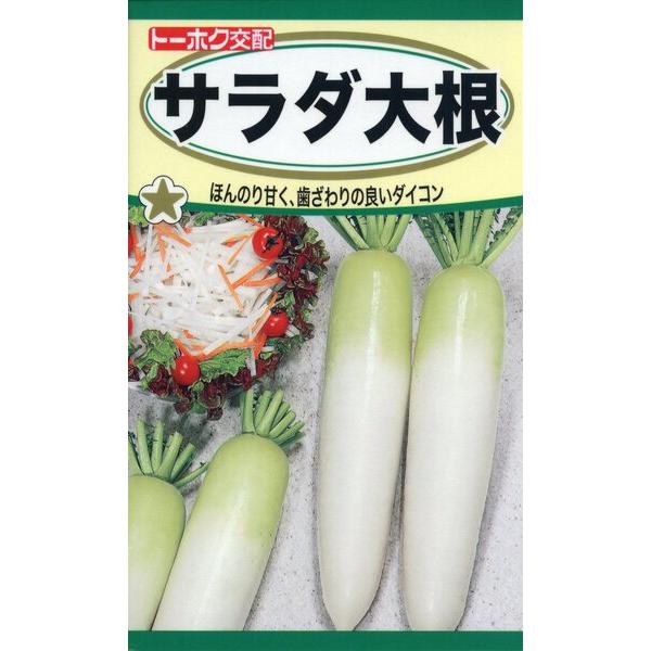 ダイコンの種 F1 サラダ大根 3ml 品番4777 種子 たね : 園芸商人