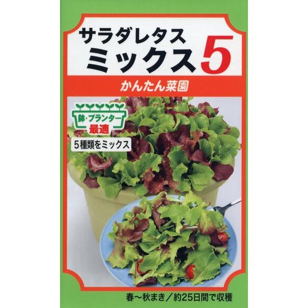 サラダ出品 ミックスの種 サラダレタスミックス5 5ml 品番3477 種子 たね : 園芸