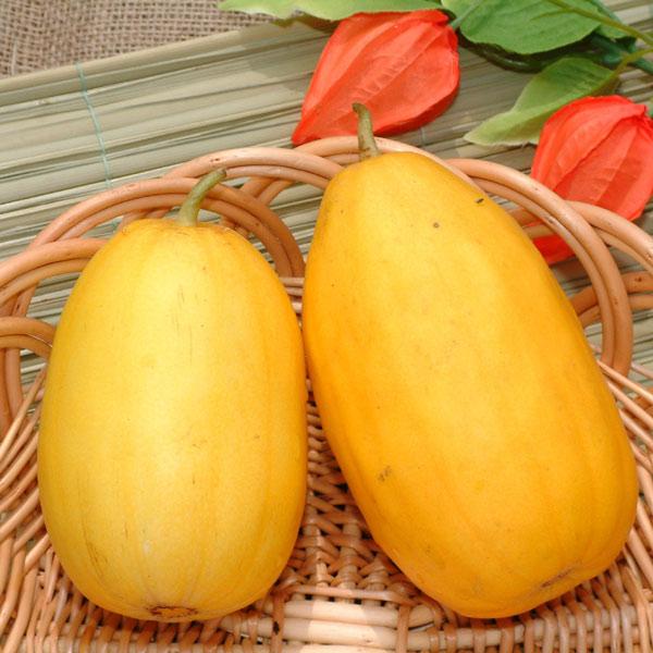 果皮が鮮やかな黄色になります。果肉は甘く、香りもよい品種です。※詳しい商品説明は下のほうに記載があります
