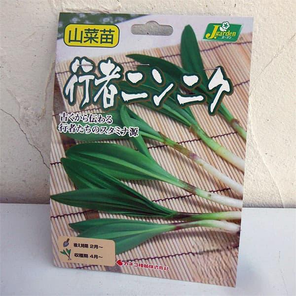野菜・山菜の裸苗のお徳用パックです。家庭菜園に育てやすい山菜コーナーを！自然の味覚をご家庭でいかがですか？行者にんにくは古くから北海道など北国の山菜として重宝されてきました。また最近は健康野菜としても注目を集めています。香りはニンニクよりも...