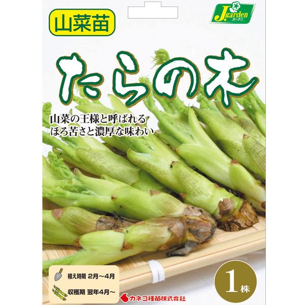 野菜・山菜の裸苗パックです。家庭菜園に育てやすい山菜コーナーを！自然の味覚をご家庭でいかがですか？山菜の王者、タラノキ（タラノメ）。早春に味わう新芽は、少し苦味のあるホクホク感がたまらないおいしさです。天ぷらや酢味噌あえで賞味してください。...