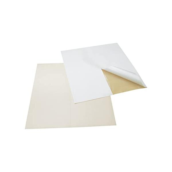 -/1個 (x 1)/-・パッケージ個数:1・商品サイズ (幅×奥行×高さ) :20×20cm・内容量:1