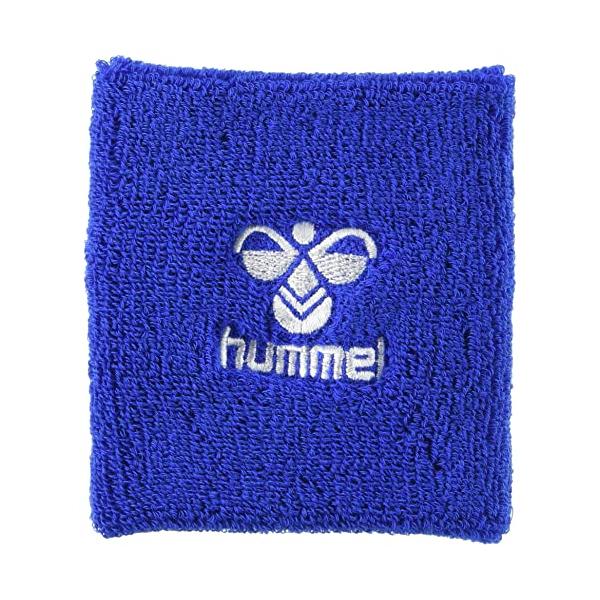 リストバンドロイヤルブルー/F/HFA9034・Size:FColor:ロイヤルブルー・パッケージ個数:1・綿/アクリル