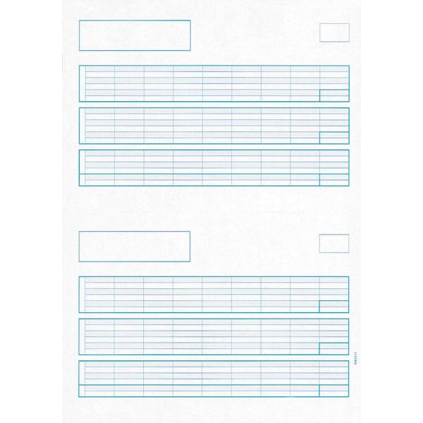 -/-/PA1111G・パッケージ個数:1・PCAソフト専用帳票・言語：日本語・4988659524855