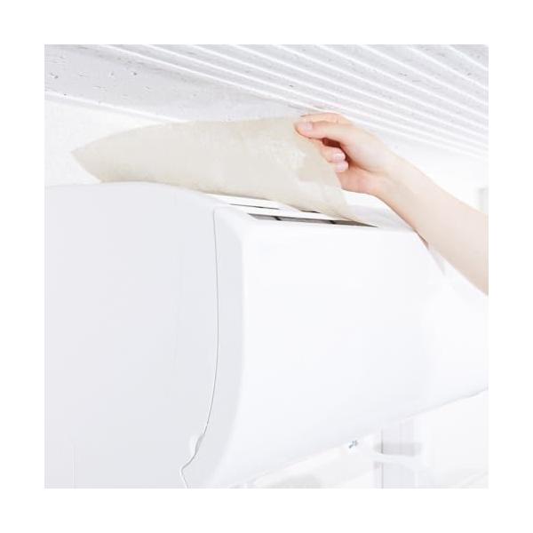 ホワイト/縦38cm×横80cm（長方形サイズ）/AQG1-01-02・パッケージ個数:1・エアークエストグリーンは、北海道産トドマツを活用してお部屋の消臭・空気浄化を再現した、エアコン用フィルターです。・トドマツは、環境汚染の代表物質であ...