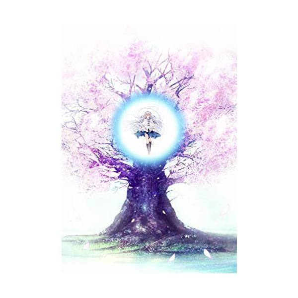 パッケージ個数:1・原画たにはらなつき、鷹乃ゆき、如月ゆう・シナリオ満腹亭白米、ハサマ、相良中通・キャスト加隈亜衣、小岩井ことり、石見舞菜香、関根明良、古賀葵、岸尾だいすけ　他・ジャンルこそばゆい学園恋愛アドベンチャー・同梱特典D.C.5 ...