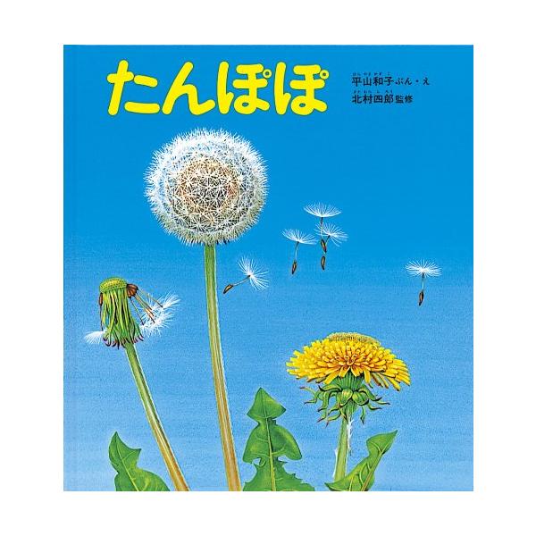 身近な植物、タンポポの生態のふしぎさ、そのたくましさなどを、長年にわたる観察と写生をもとに見事に描きます。実物大に描かれた80センチをこえるタンポポの根は圧巻